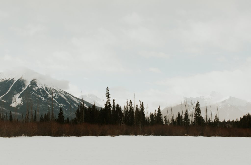 Best Rustic Barn Wedding Venues In Ontario Canada Lydiatrudelle Com   Banff Couple Shoot 120 E1676483307413 1024x674 